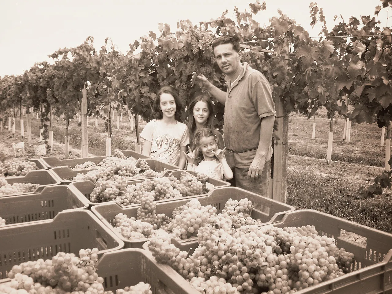 Famiglia 6